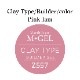 Z557 MGEL Ǵ�ڥӥ����������/���顼