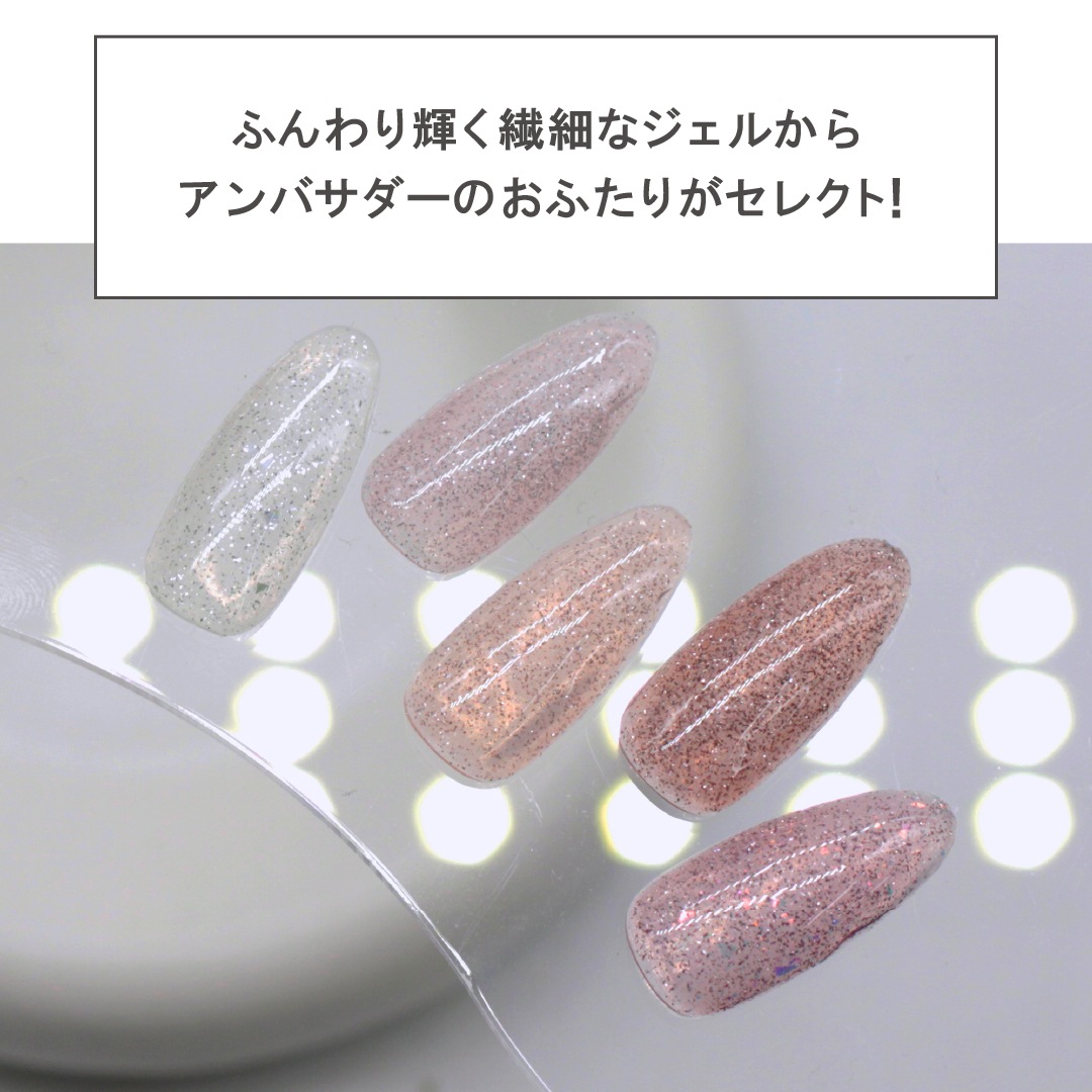 Z569 MGEL Lien series