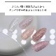 Z569 MGEL Lien series