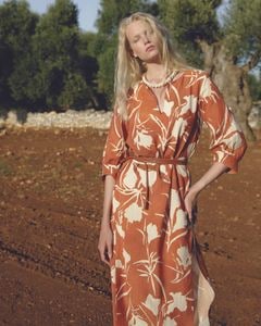 Oscalito�ü�ʬµ�ɥ쥹