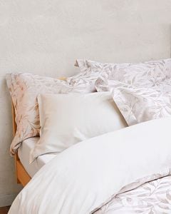 SIGNORIA�������С���51x71cm��ARGENTARIO