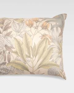 Estella�������С���50x70�ѡ�FLORENTIN�å١�����