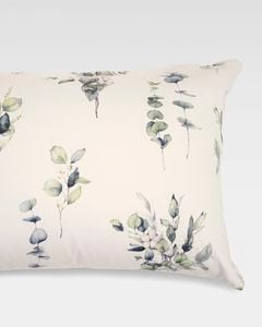 Estella�������С���50x70�ѡ�AAMIR