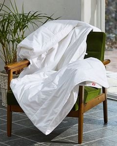 Comforter 布団
