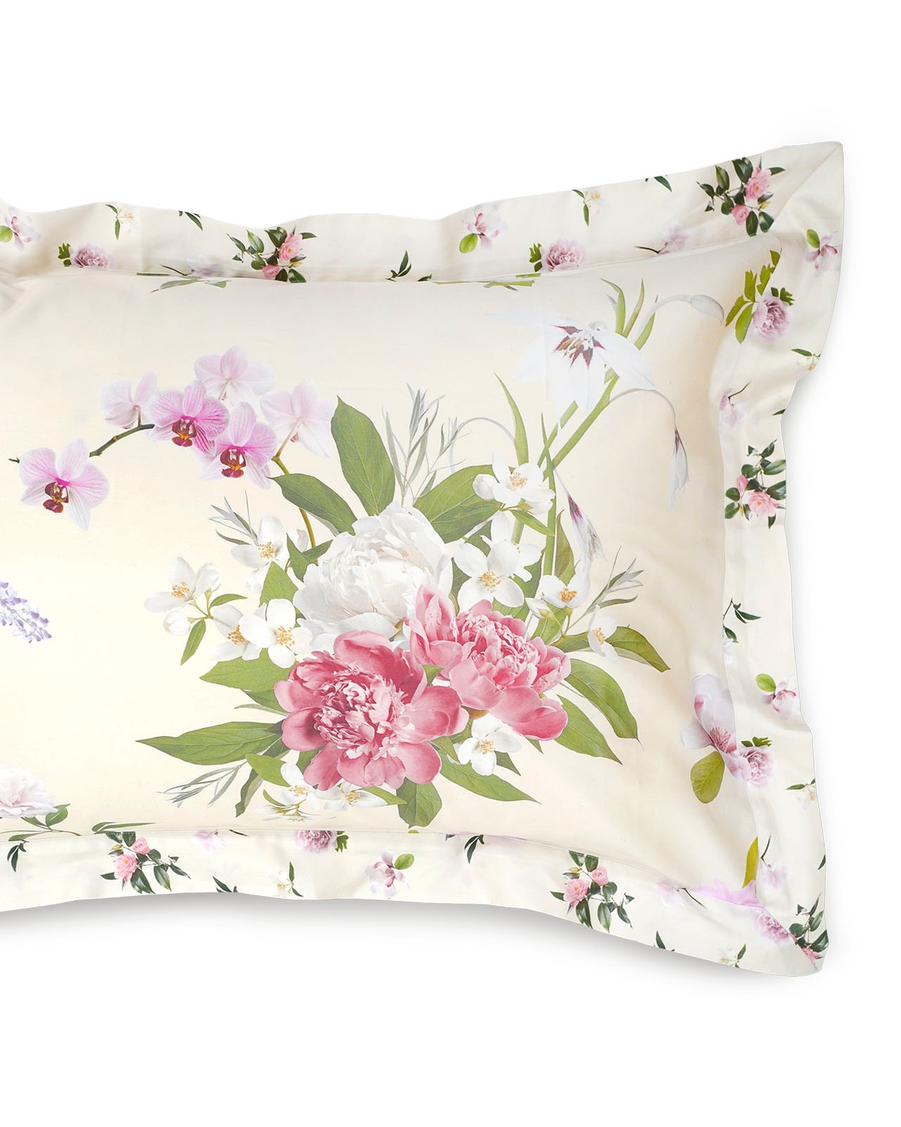 SIGNORIA�������С���51��71cm�å����ܥ꡼��VIVACE