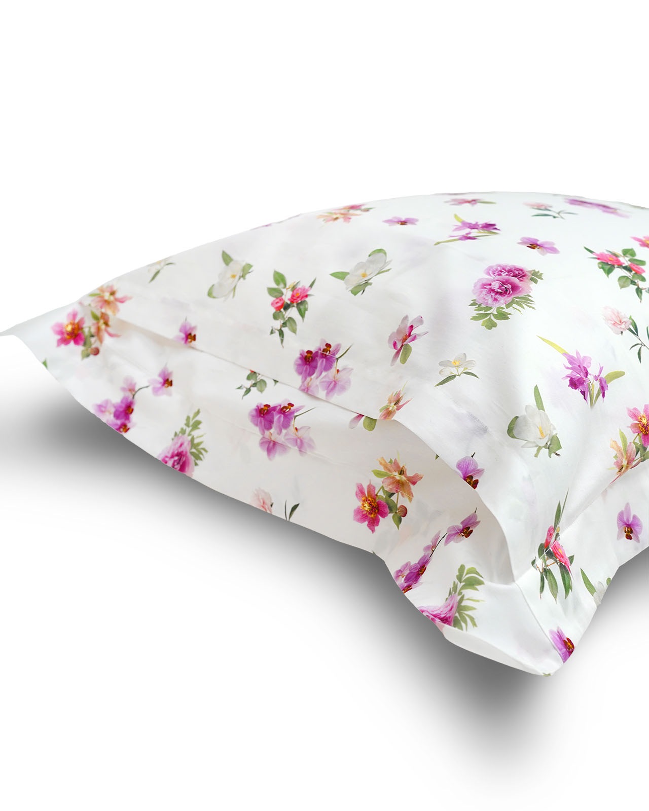 SIGNORIA�������С���51��71cm�åۥ磻�ȡ�VIVACE SMALL
