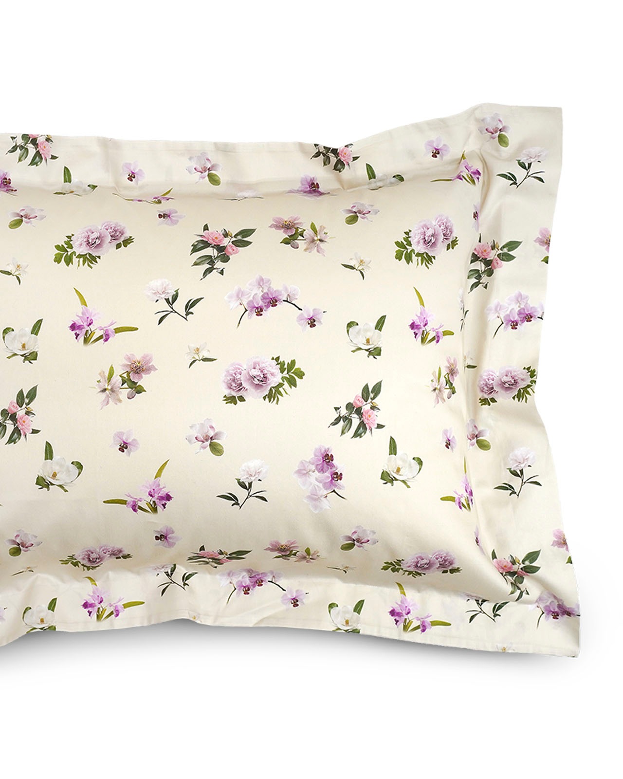 SIGNORIA�������С���51��71cm�å����ܥ꡼��VIVACE SMALL