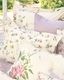 SIGNORIA�������С���51��71cm�å����ܥ꡼��VIVACE SMALL