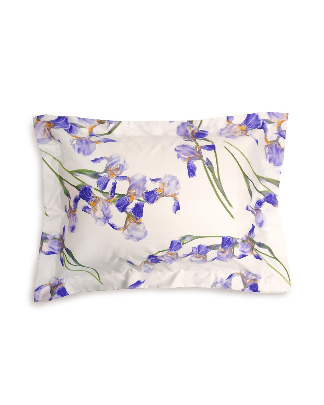 SIGNORIA | �����С���51��71cm��PANTELLERIA