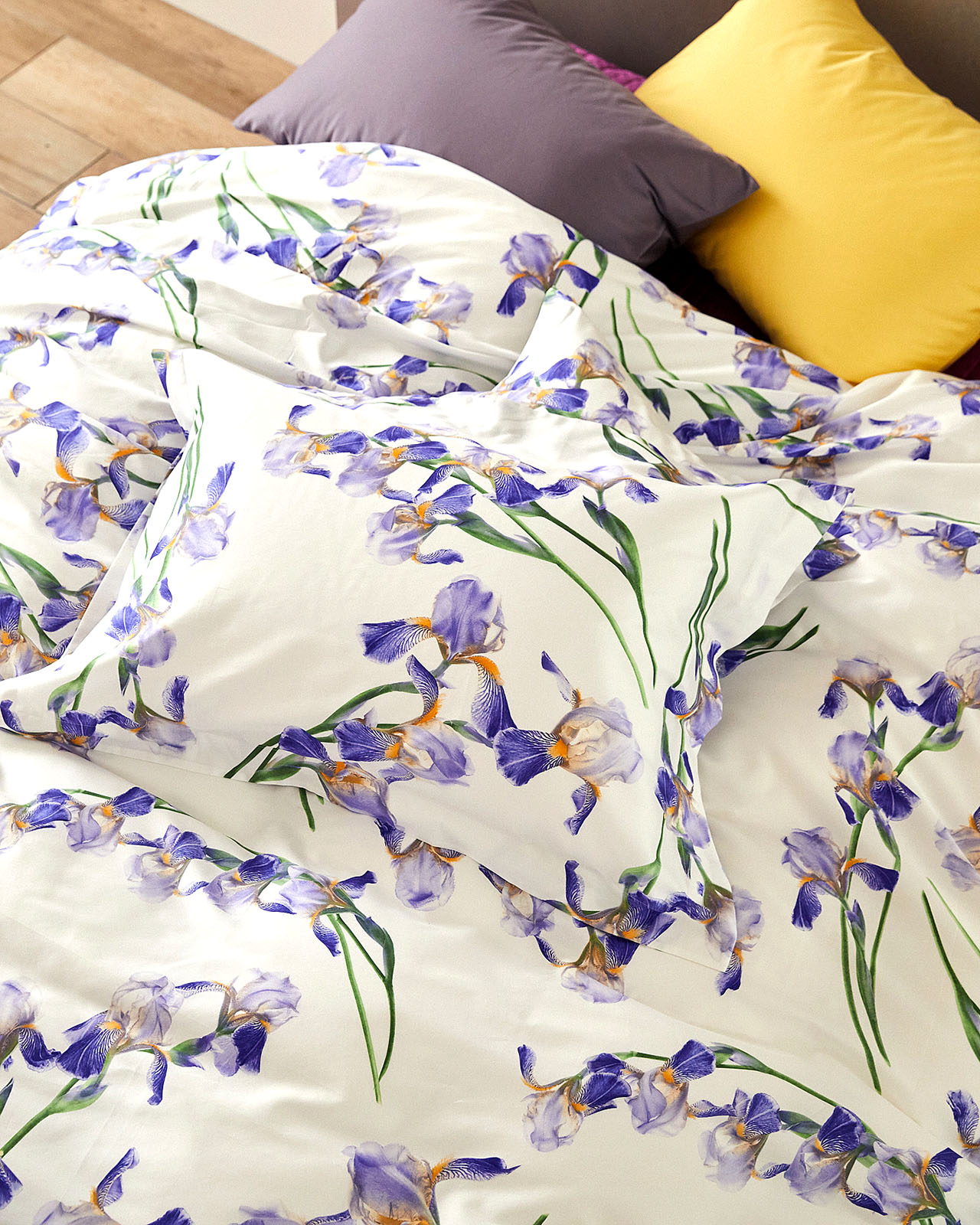 SIGNORIA | �����С���51��71cm��PANTELLERIA