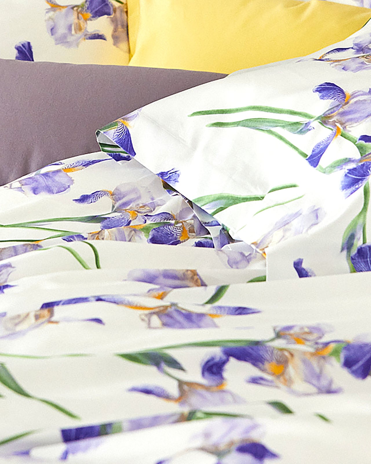 SIGNORIA | �����С���51��71cm��PANTELLERIA