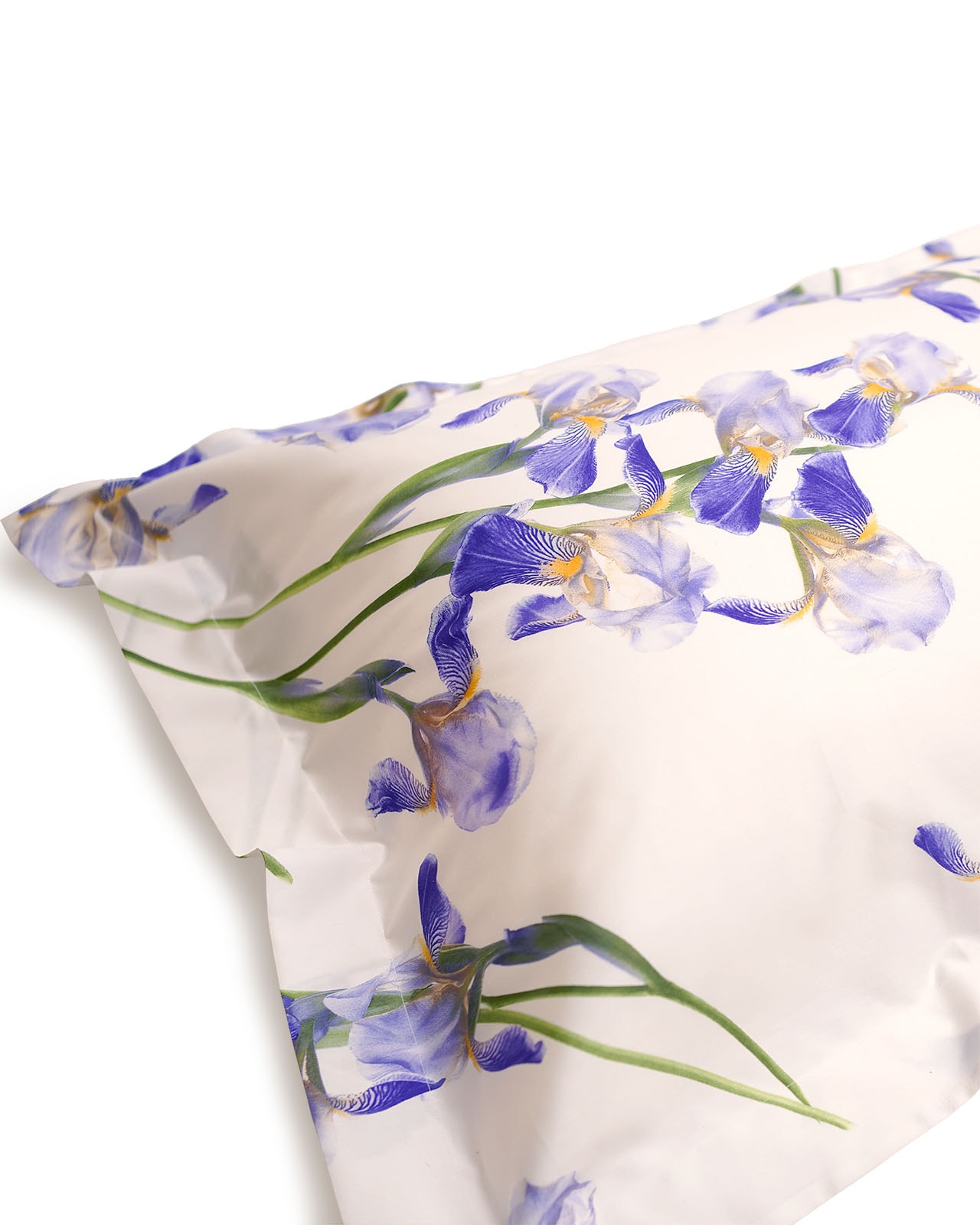 SIGNORIA | �����С���51��71cm��PANTELLERIA