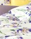 SIGNORIA�óݤ����ĥ��С��å��󥰥� 150x210�ѡ�PANTELLERIA