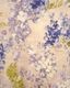 FRATI�å֥�󥱥åȡ�150x210cm��780g��WISTERIA