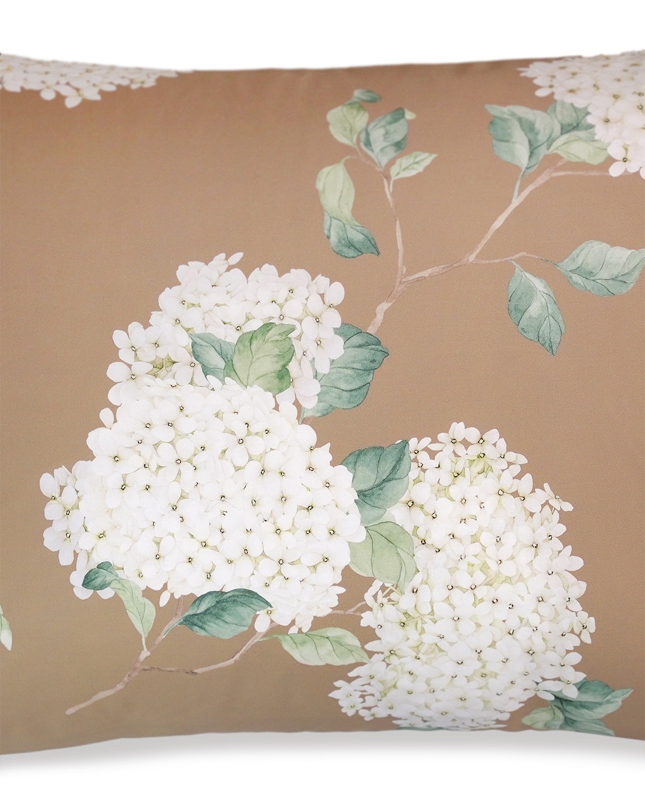 SCHLOSSBERG�������С���50x70cm��HORTENSIA