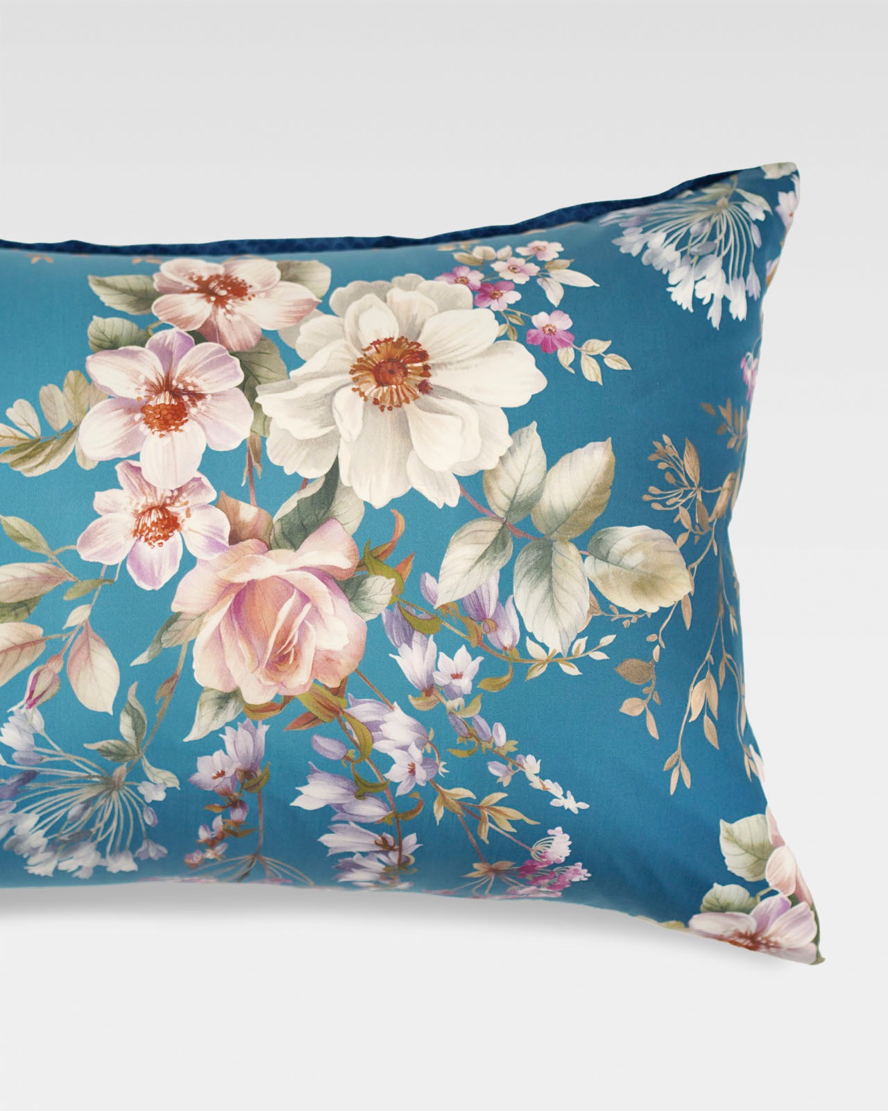 Estella�������С���50x70�ѡ�AMBROSIA