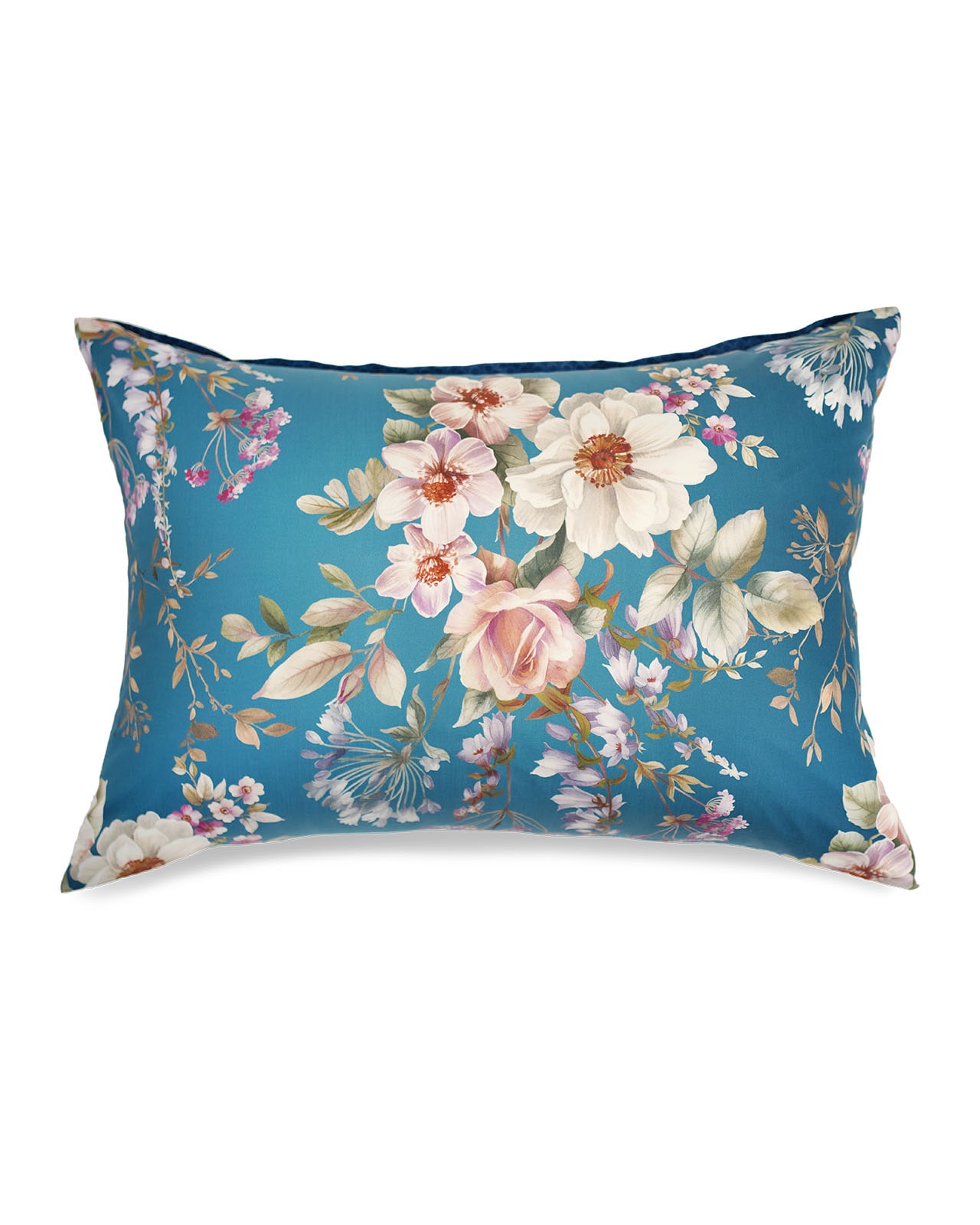 Estella�������С���50x70�ѡ�AMBROSIA