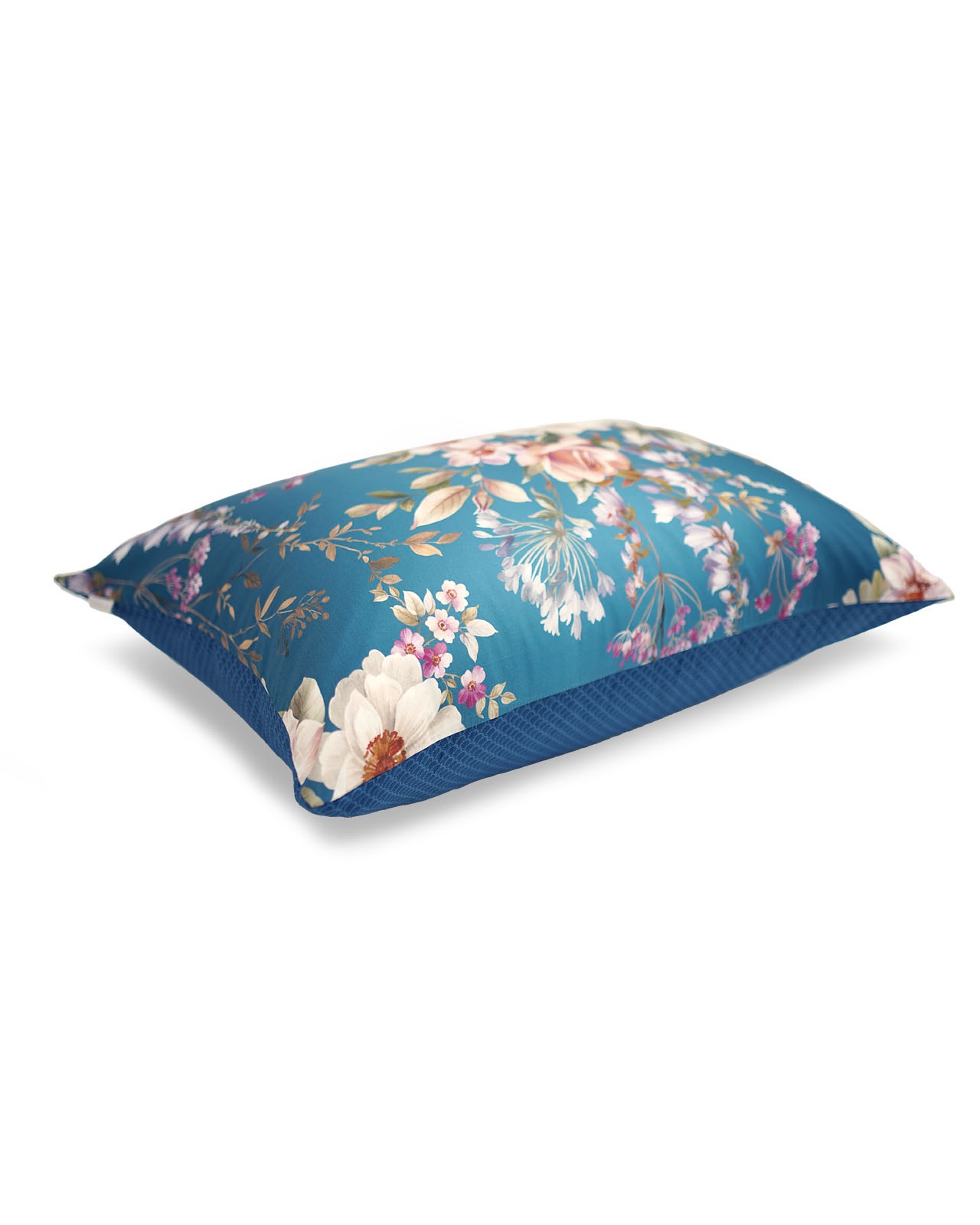 Estella�������С���50x70�ѡ�AMBROSIA