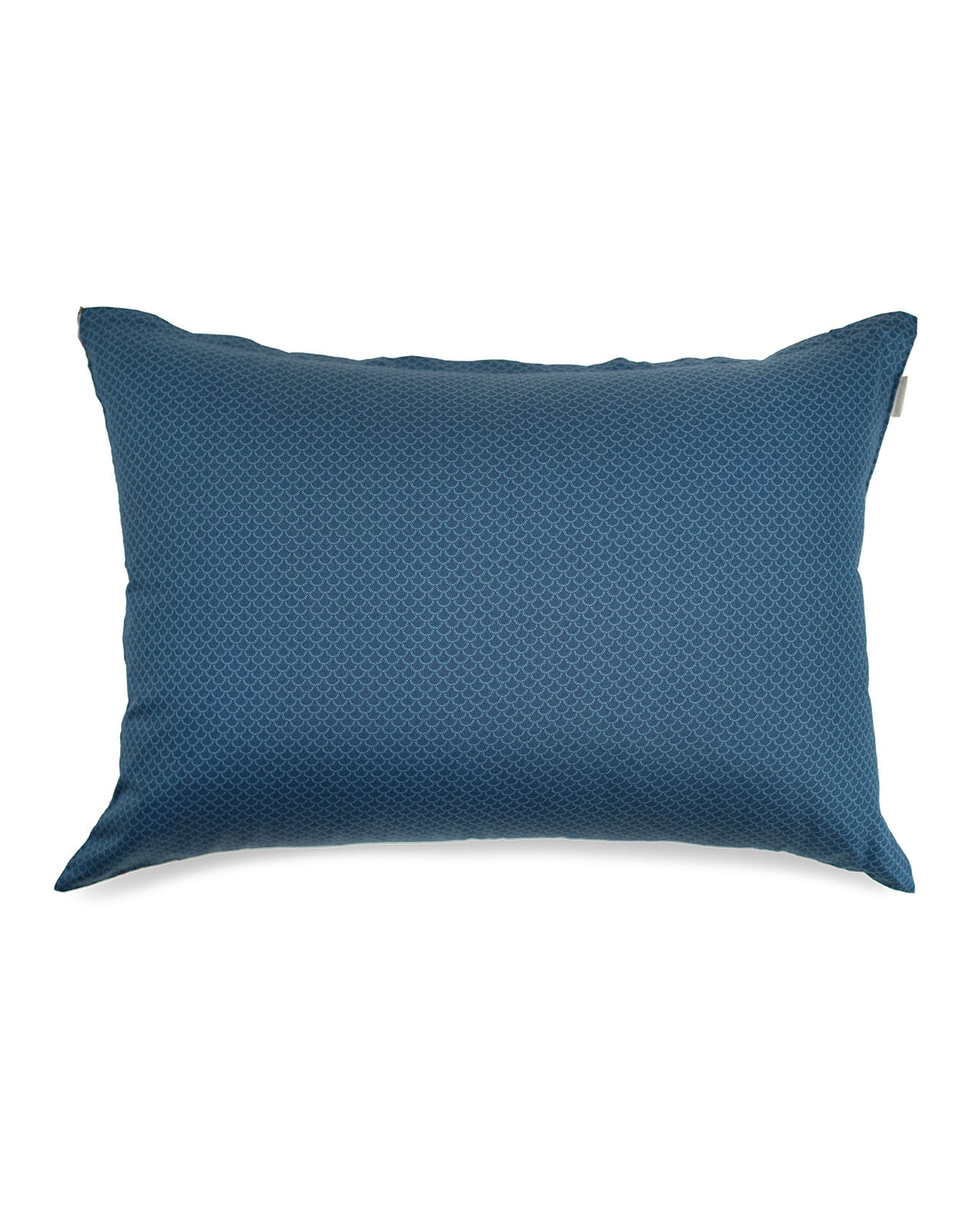 Estella�������С���50x70�ѡ�AMBROSIA