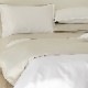 SIGNORIA�å��С���󥰡�LINEARE SATEEN
