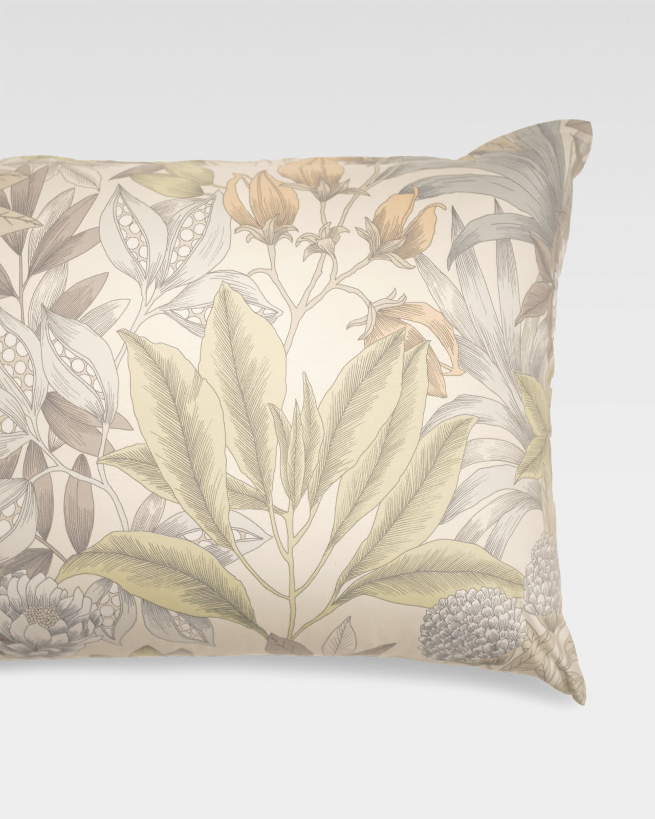 Estella�������С���50x70�ѡ�FLORENTIN�å١�����