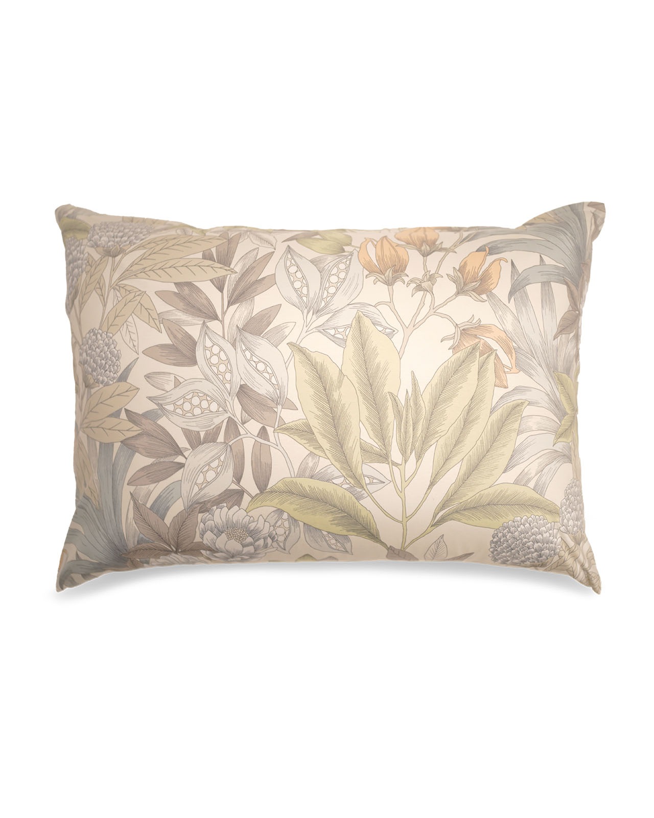 Estella�������С���50x70�ѡ�FLORENTIN�å١�����