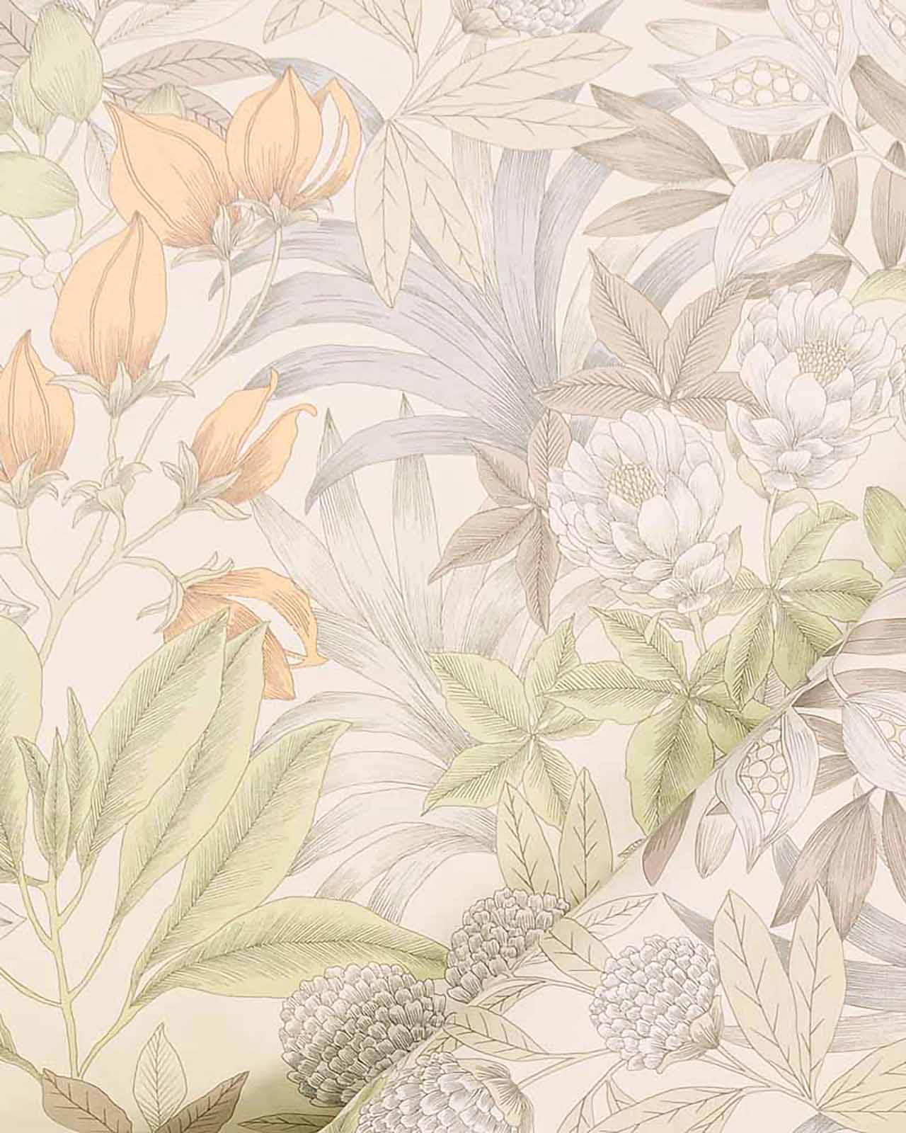 Estella�������С���50x70�ѡ�FLORENTIN�å١�����