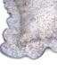 dea�������С���51��71cm�å֥롼��GLICINE VOILE