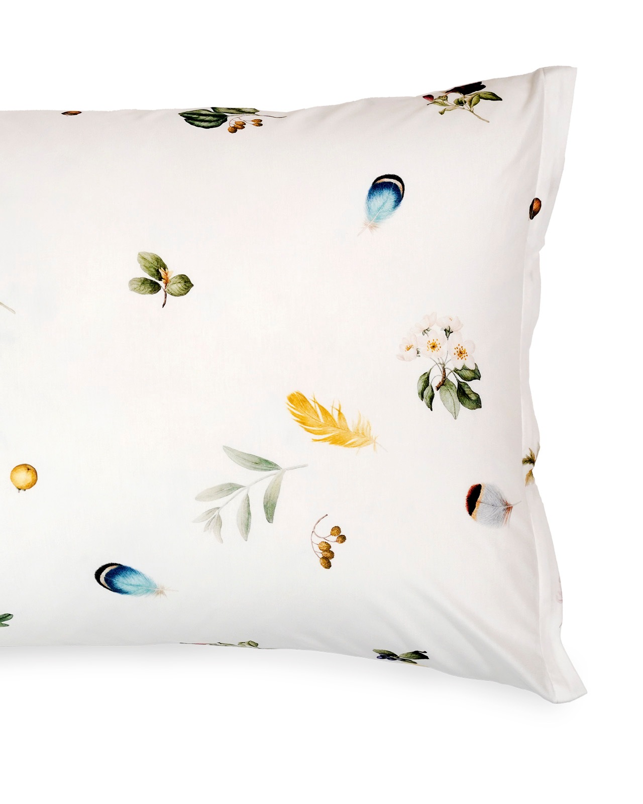 SCHLOSSBERG�������С���50x70cm��AMBRA