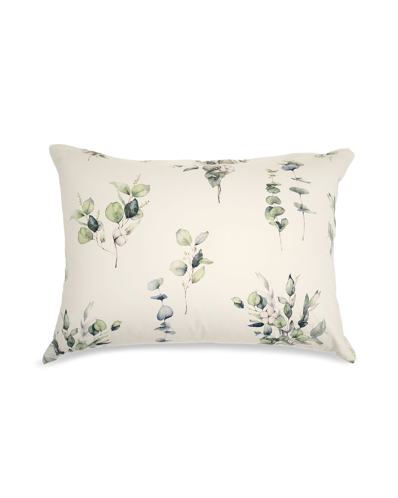 Estella�������С���50x70�ѡ�AAMIR