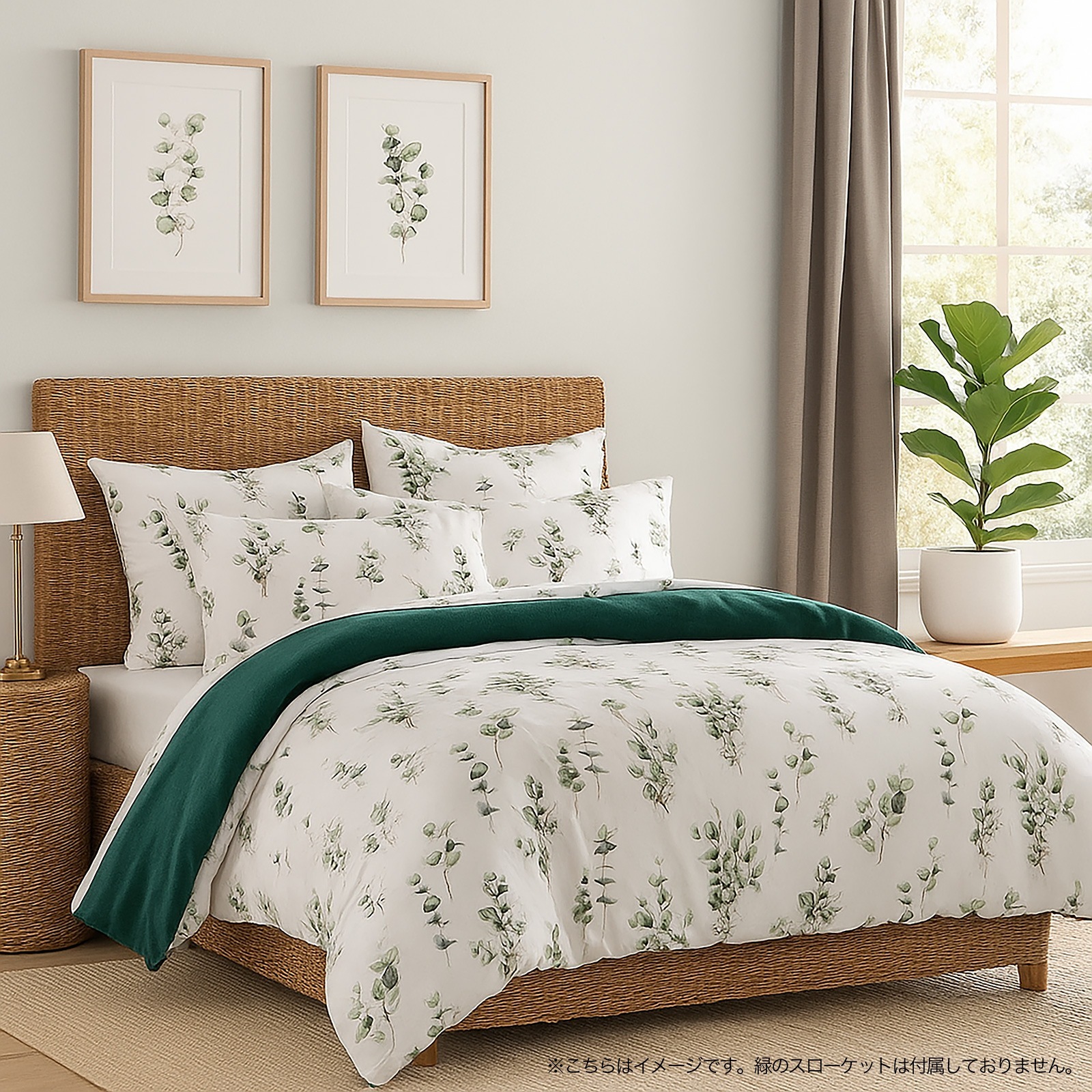 Estella�������С���50x70�ѡ�AAMIR