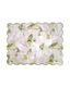 dea�������С���51��71cm��NISIDA VOILE