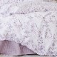 Signoria   С   NATURARIGA   åS22,000  åM29,700  ԥ 27,500   󥰥 118,800   ֥ 140,800   162,800