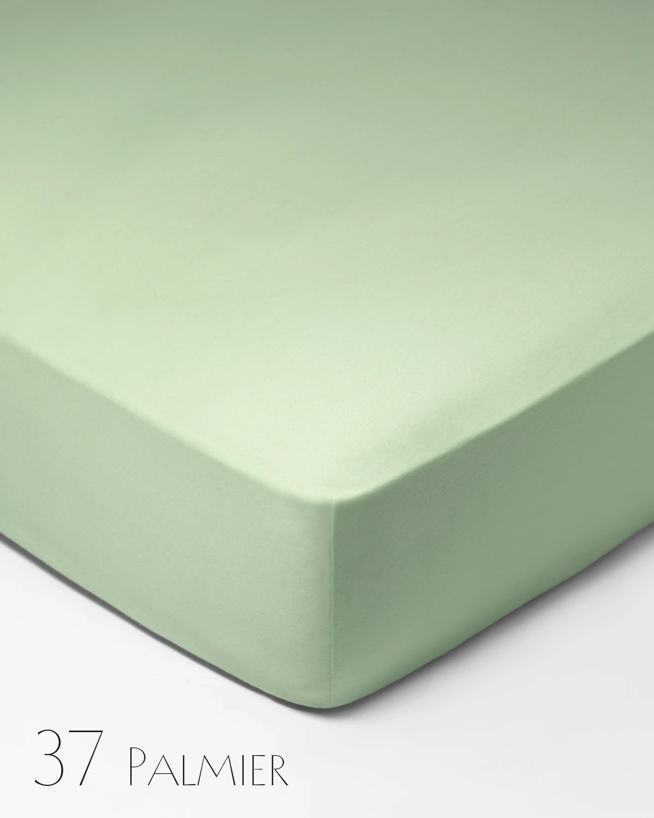 SCHLOSSBERG�åե��åȥ����ġå��֥� 140��200��40cm��ROYAL FIX 