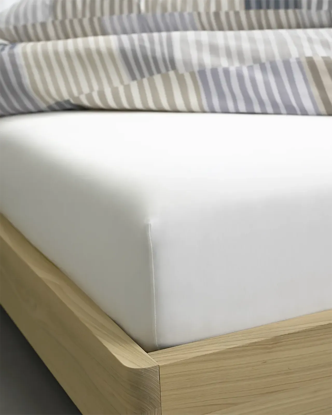 SCHLOSSBERG�åե��åȥ����ġå��󥰥� 100��200��40cm��ROYAL FIX 