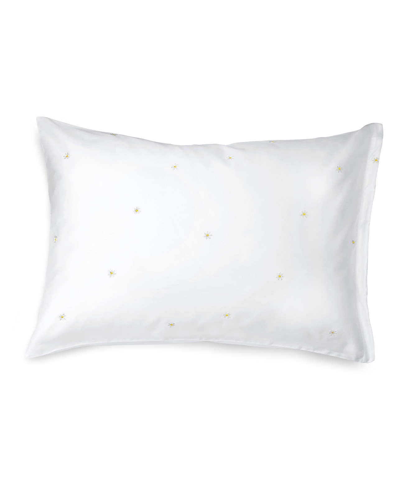 SCHLOSSBERG�������С���50x70cm��DAISY