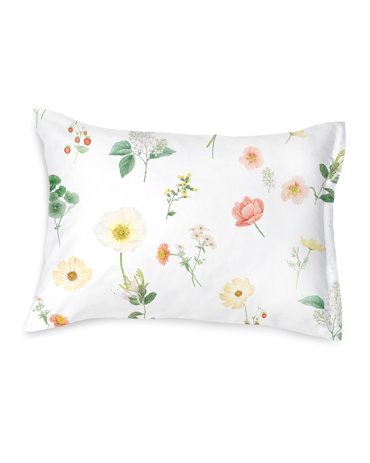 SCHLOSSBERG�������С���50x70cm��ZINNIA