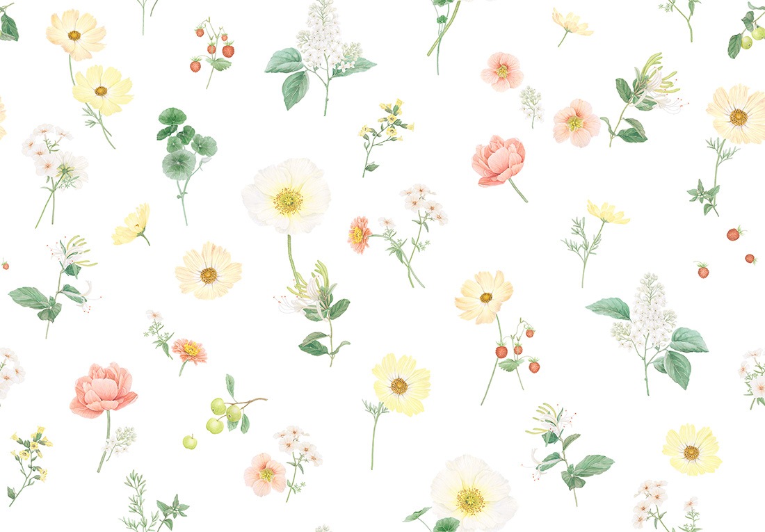 SCHLOSSBERG�������С���50x70cm��ZINNIA