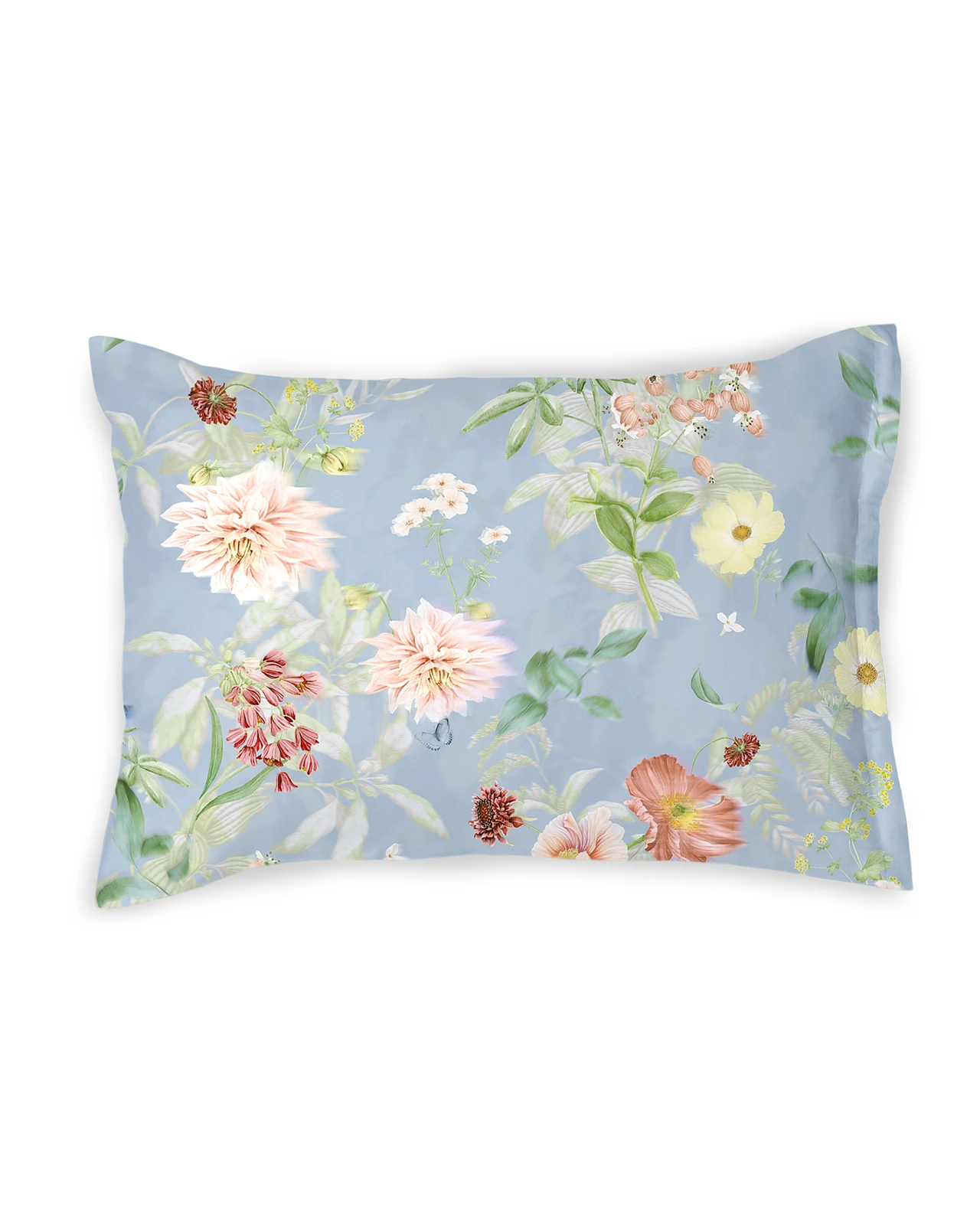 SCHLOSSBERG�������С���50x70�ѡ�AVEN