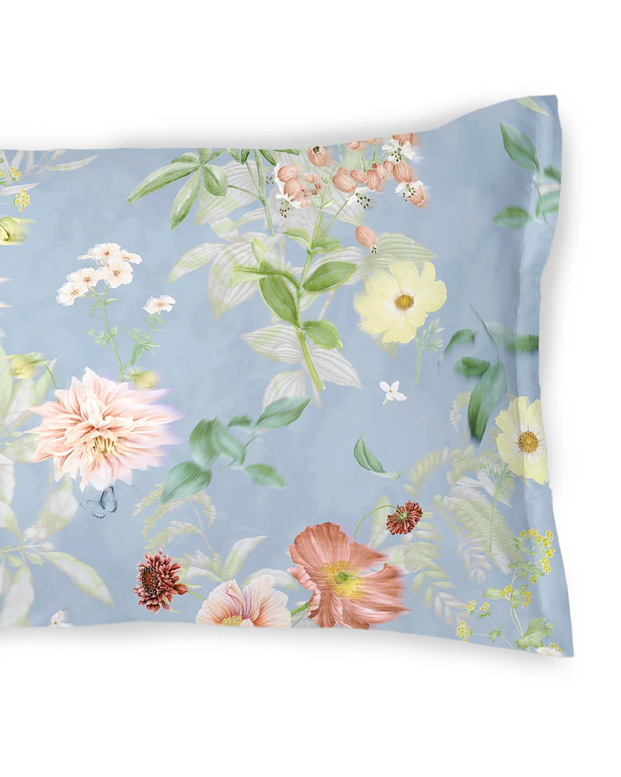 SCHLOSSBERG�������С���50x70�ѡ�AVEN