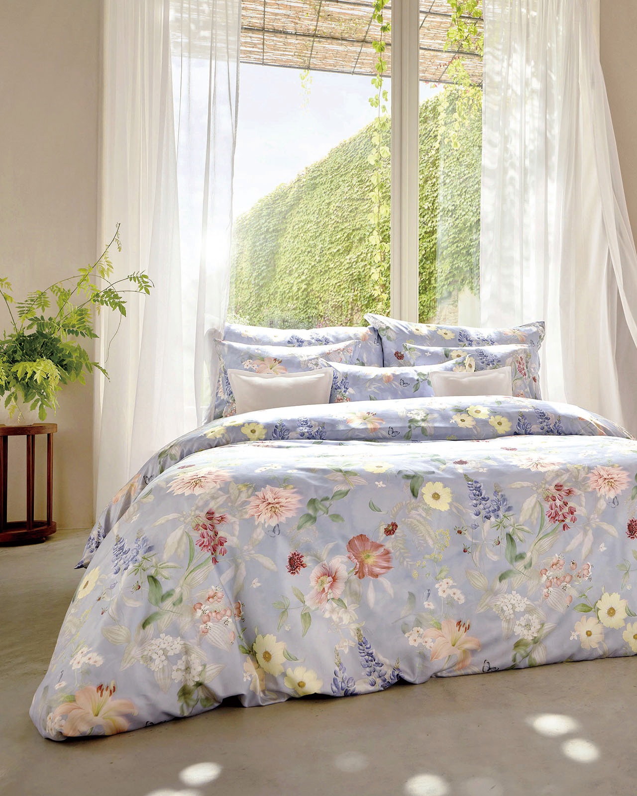 SCHLOSSBERG�������С���50x70�ѡ�AVEN