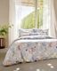 SCHLOSSBERG�������С���50x70�ѡ�AVEN