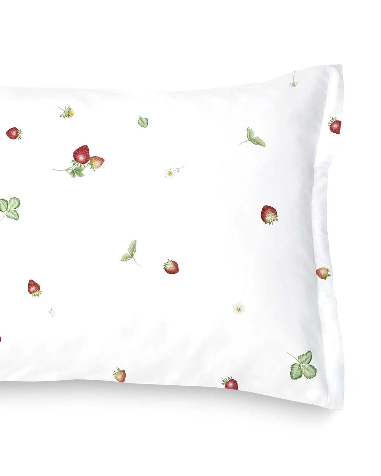 SCHLOSSBERG�������С���50x70�ѡ�JUNE