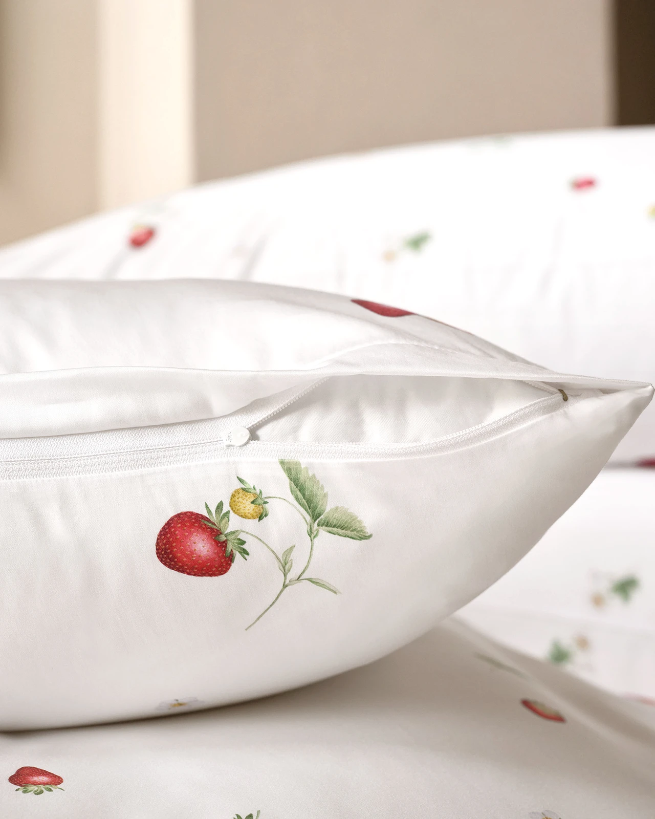 SCHLOSSBERG�������С���50x70�ѡ�JUNE