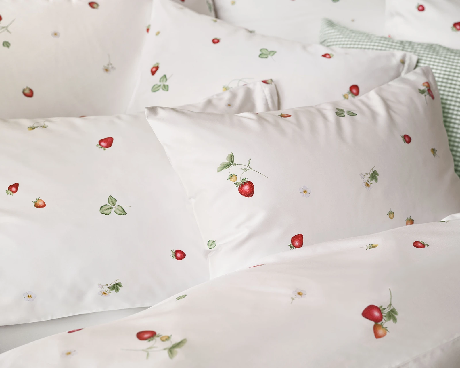 SCHLOSSBERG�������С���50x70�ѡ�JUNE