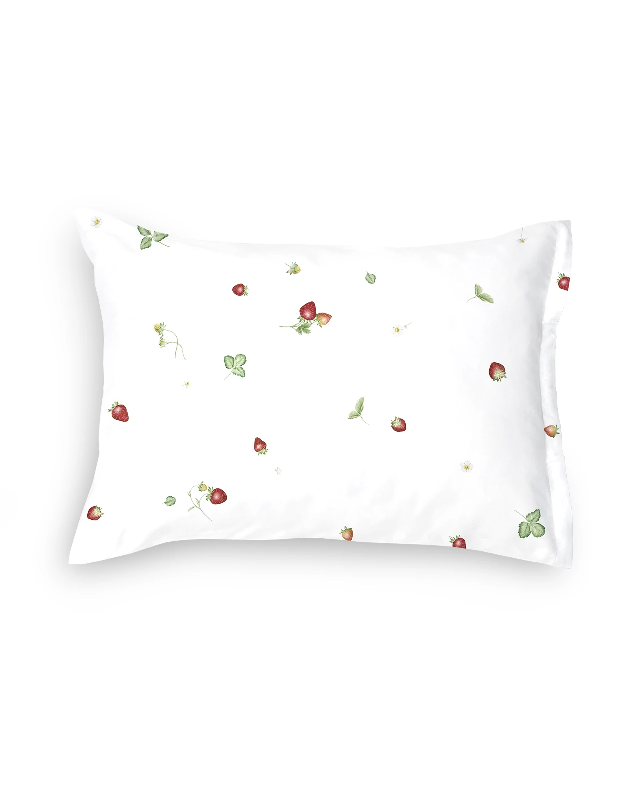 SCHLOSSBERG�������С���50x70�ѡ�JUNE