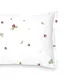 SCHLOSSBERG�������С���50x70�ѡ�JUNE