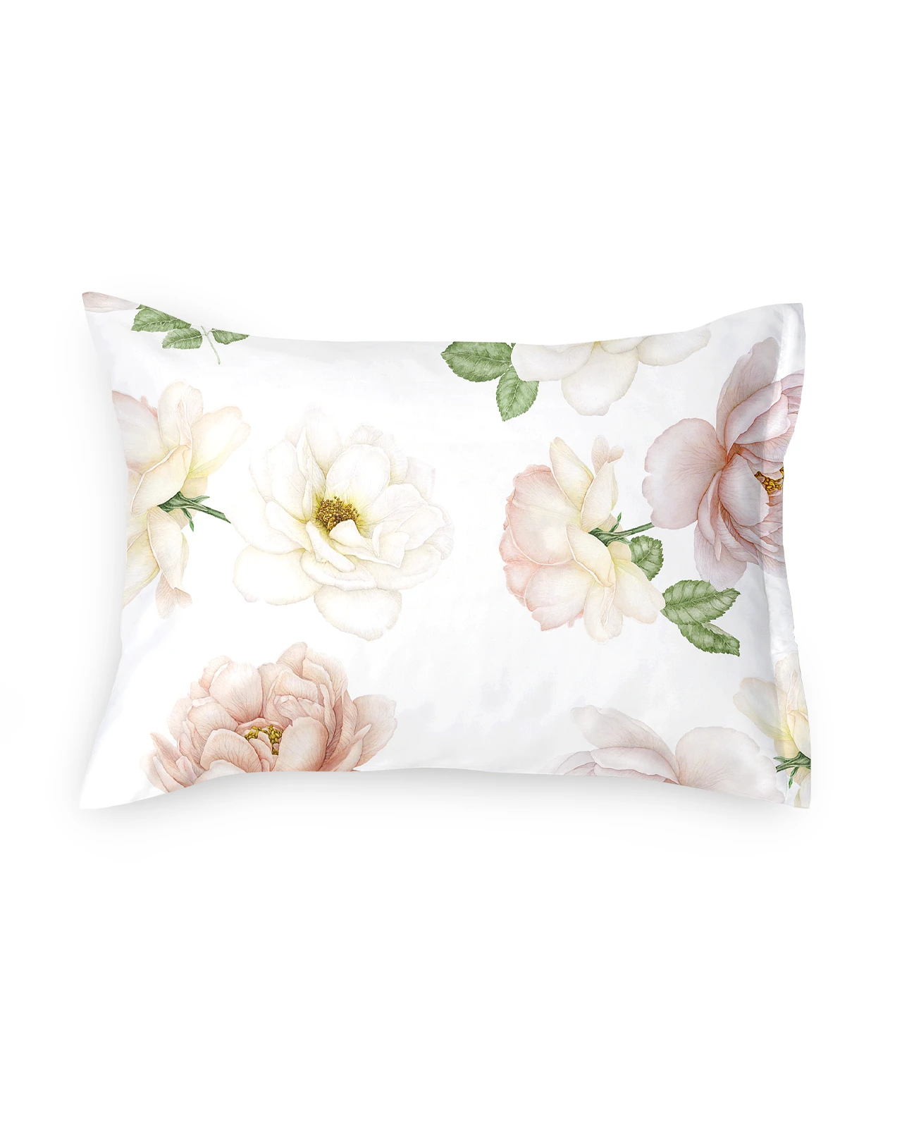SCHLOSSBERG�������С���50x70�ѡ�ROSE