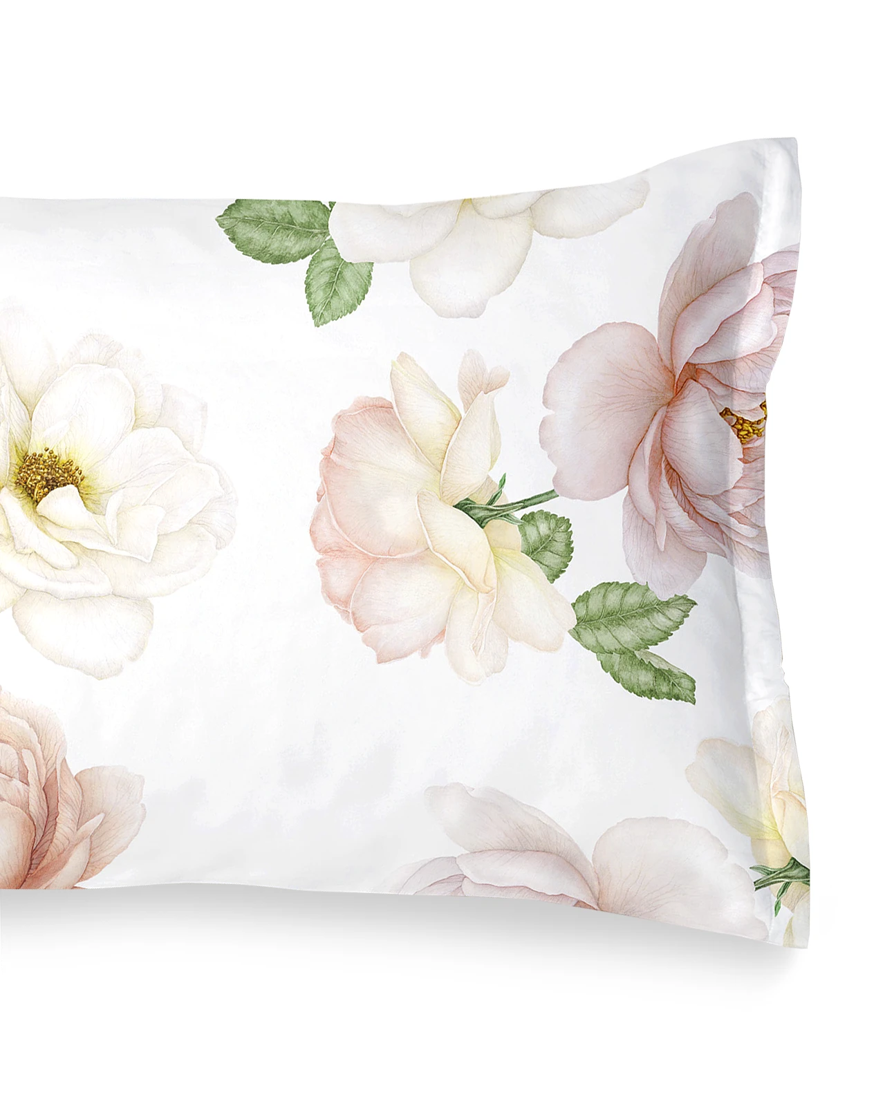 SCHLOSSBERG�������С���50x70�ѡ�ROSE