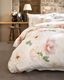 SCHLOSSBERG�������С���50x70�ѡ�ROSE
